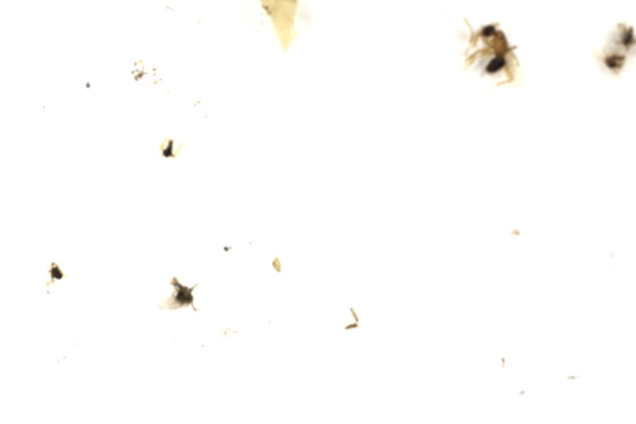 Image 71